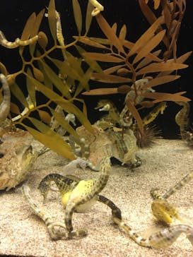 株式会社Gに投稿された画像（2022/5/3）