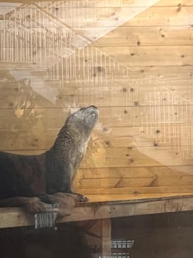 アクアワールド茨城県大洗水族館に投稿された画像（2022/5/3）