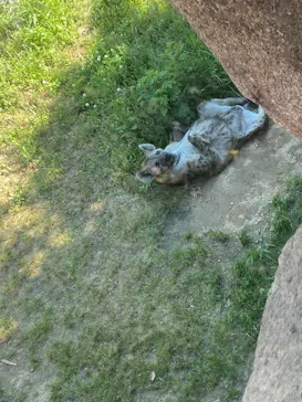 天王寺動物園に投稿された画像（2022/5/3）