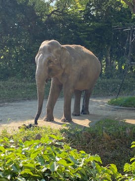 よこはま動物園ズーラシアに投稿された画像（2022/5/3）