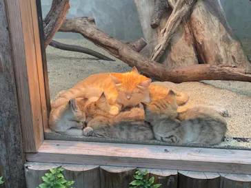 神戸どうぶつ王国に投稿された画像（2022/5/3）