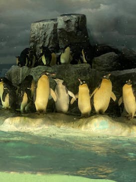 名古屋港水族館に投稿された画像（2022/5/3）