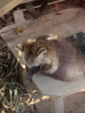 天王寺動物園に投稿された画像（2022/5/3）