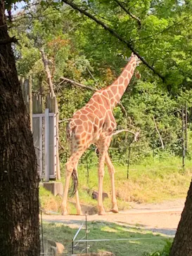 天王寺動物園に投稿された画像（2022/5/3）