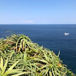 ニューヨークランプミュージアム＆フラワーガーデンに投稿された画像（2022/5/3）