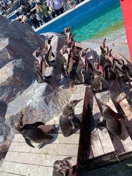 南知多ビーチランド＆南知多おもちゃ王国に投稿された画像（2022/5/3）