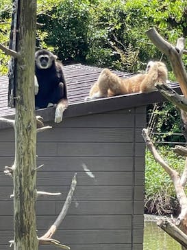 伊豆シャボテン動物公園に投稿された画像（2022/5/3）