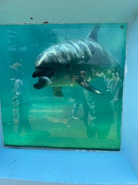 南知多ビーチランド＆南知多おもちゃ王国に投稿された画像（2022/5/3）