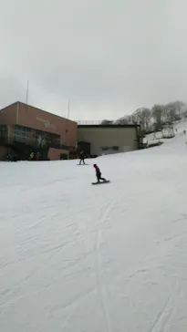 Hakuba47ウィンタースポーツパークに投稿された画像（2022/5/3）