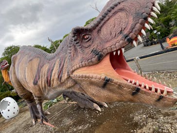 伊豆ぐらんぱる公園に投稿された画像（2022/5/3）