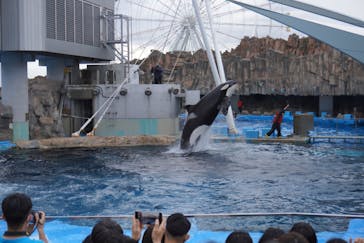 名古屋港水族館に投稿された画像（2022/5/3）