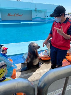 南知多ビーチランド＆南知多おもちゃ王国に投稿された画像（2022/5/3）