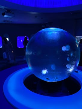 新江ノ島水族館に投稿された画像（2022/5/3）