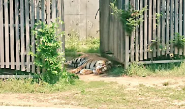 天王寺動物園に投稿された画像（2022/5/3）