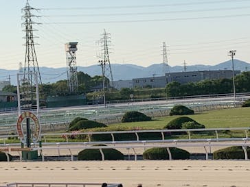 園田競馬場に投稿された画像（2022/5/3）