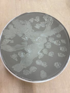 横濱陶藝倶樂部に投稿された画像（2022/5/3）