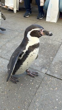 城崎マリンワールドに投稿された画像（2022/5/3）