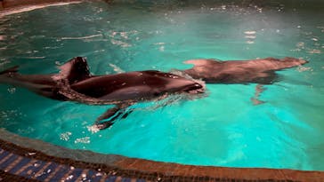 城崎マリンワールドに投稿された画像（2022/5/3）