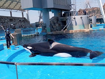 名古屋港水族館に投稿された画像（2022/5/2）