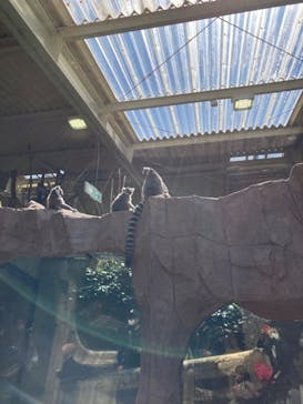 那須どうぶつ王国に投稿された画像（2022/5/3）