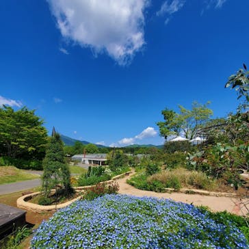 いばらきフラワーパークに投稿された画像（2022/5/3）