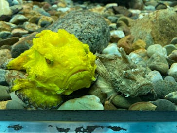 株式会社Gに投稿された画像（2022/5/3）