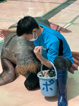 ゼロ距離水族館 伊勢シーパラダイスに投稿された画像（2022/5/3）