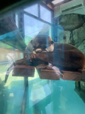 ゼロ距離水族館 伊勢シーパラダイスに投稿された画像（2022/5/3）