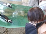 しながわ水族館に投稿された画像（2022/5/3）
