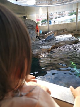 しながわ水族館に投稿された画像（2022/5/3）