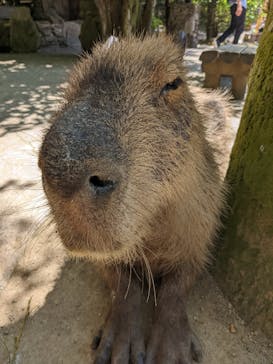 長崎バイオパークに投稿された画像（2022/5/3）