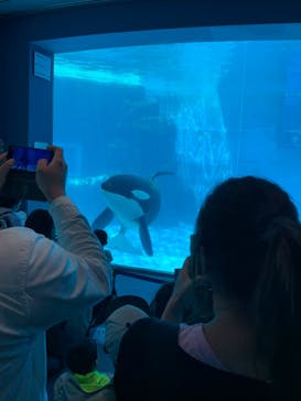 名古屋港水族館に投稿された画像（2022/5/3）