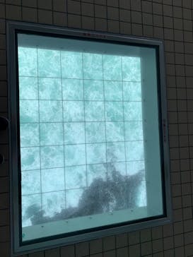 徳島県立 渦の道に投稿された画像（2022/5/3）