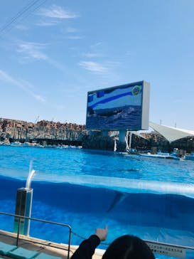 名古屋港水族館に投稿された画像（2022/5/3）