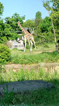 天王寺動物園に投稿された画像（2022/5/3）