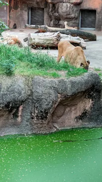 天王寺動物園に投稿された画像（2022/5/3）