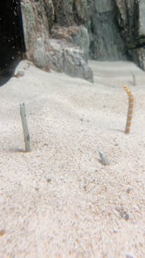 城崎マリンワールドに投稿された画像（2022/5/3）