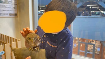 Moff animal cafe MARKIS 福岡ももち店に投稿された画像（2022/5/3）