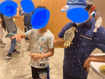 Moff animal cafe MARKIS 福岡ももち店に投稿された画像（2022/5/3）