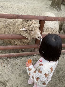 那須高原りんどう湖ファミリー牧場に投稿された画像（2022/5/3）