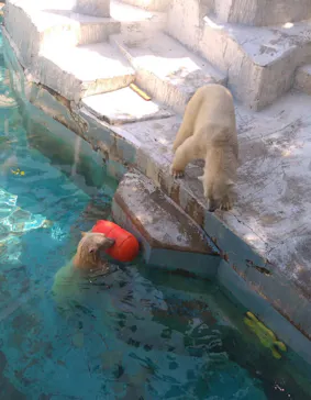 天王寺動物園に投稿された画像（2022/5/3）