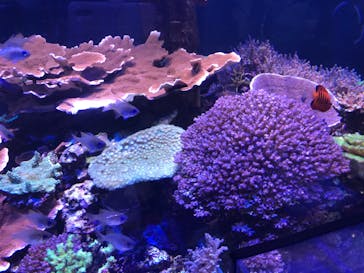 名古屋港水族館に投稿された画像（2022/5/3）