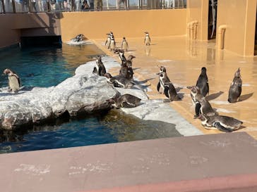 アクアワールド茨城県大洗水族館に投稿された画像（2022/5/3）