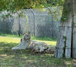 姫路セントラルパークに投稿された画像（2022/5/3）