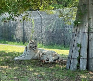 姫路セントラルパークに投稿された画像（2022/5/3）