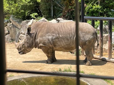 姫路セントラルパークに投稿された画像（2022/5/3）