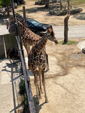 姫路セントラルパークに投稿された画像（2022/5/3）