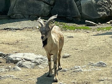 姫路セントラルパークに投稿された画像（2022/5/3）