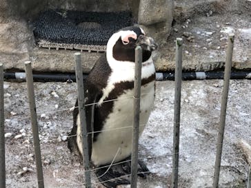 サンシャイン水族館に投稿された画像（2022/5/3）