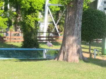 グリーンランドに投稿された画像（2022/5/3）